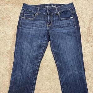 American Eagle Outfitters "Artist" Jeans Size 8